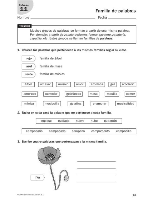 Lengua Repaso Y Ampliaci N Primaria Santillana Familia De Palabras