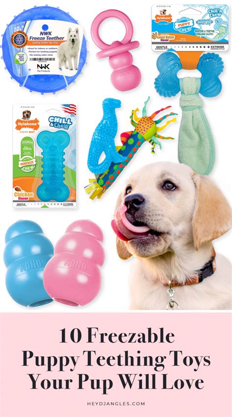 10 Freezable Puppy Teething Toys Your Pup Will Love - Hey, Djangles.