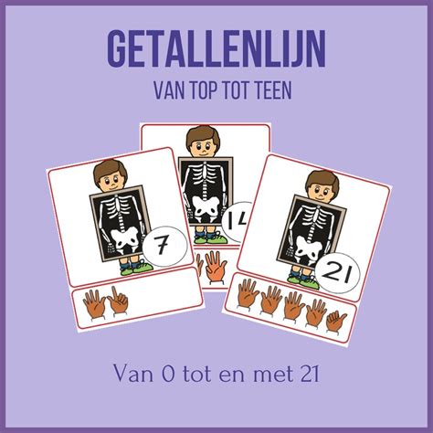 Getallenlijn Van Top Tot Teen Kleuterbasis