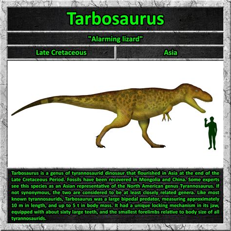 Tarbosaurus Size