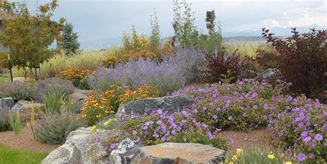 Hillside Erosion Control Landscaping Network