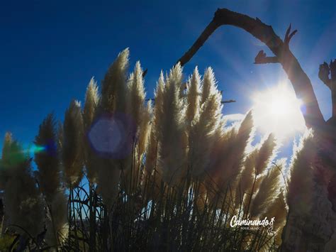 Img Caminando Por El Mundo Flickr