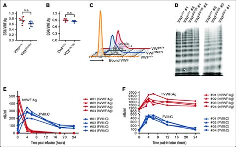 Evaluation Of The Functional Properties Of N Vwf And The Viability Of