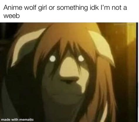 Wolf girl : r/AnimeFunny