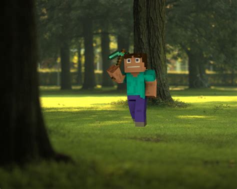 Minecraft Steve In Reallife By Steeezysam On Deviantart