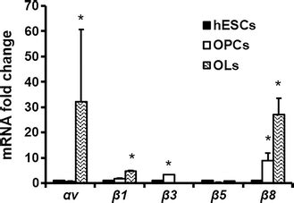 Expression Analysis Of V And Integrins During