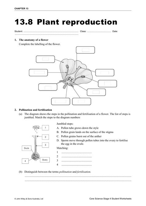 Parts Of Flower Pollination And Fertilization Worksheet Answers | Best ...