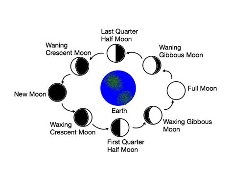 Earth and Space Science - 6th Grade Science