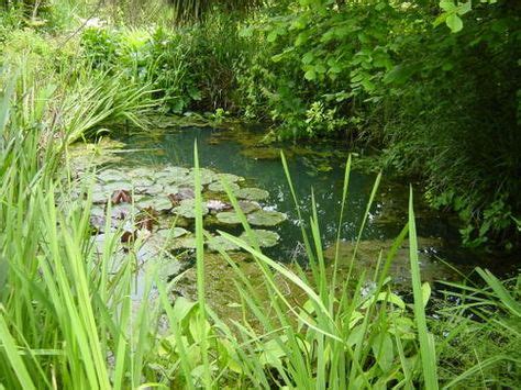 PDF sur comment créer une mare naturelle Jardin d eau Bassin de