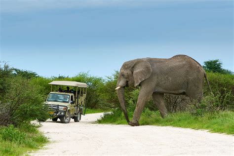 Namibia Wildlife Resorts (NWR) Offers Unforgettable Travel Experiences ...