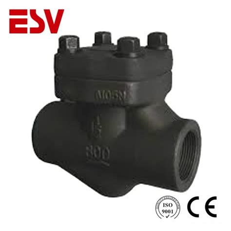 Forged Check Valve Everseal Valve Group