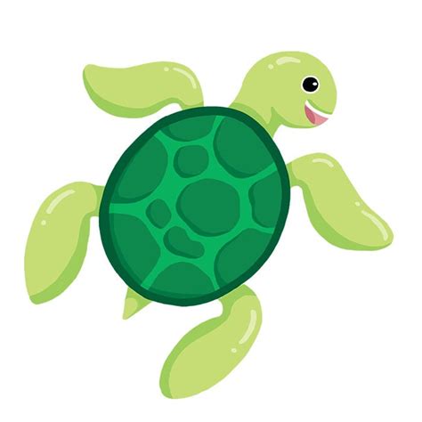 Drawing Funny Cute Sea Turtle Colorful Marine Sea Animal Image – VinaFrog