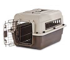 Dog Kennels & Crates: Spaces for Pets and Free Shipping | Petco