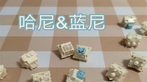 【鸽们来聊轴52】几乎100含量的纯pom外壳，pa12轴心，高特哈尼蓝尼轴，上手体验 Youtube