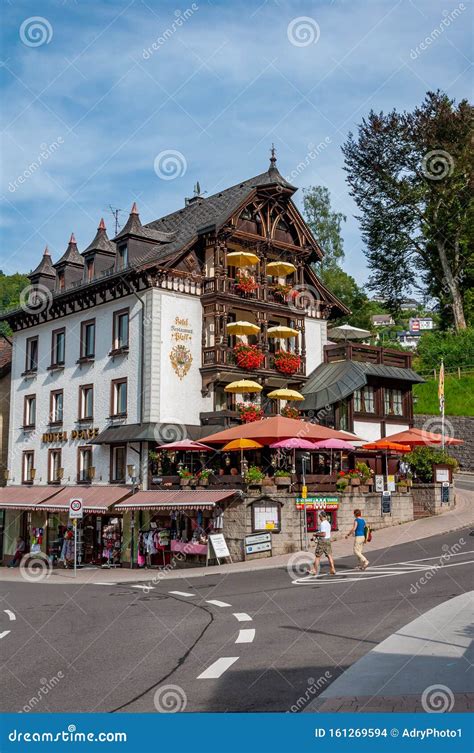 Black Forest In Bavaria Germany Untouched Nature With Mountains