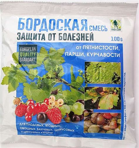 Бордоская жидкость для огурцов: можно ли обрабатывать их смесью ...