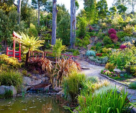 Jessies Magnificent Native Australian Garden Australian Garden Australian Native Garden