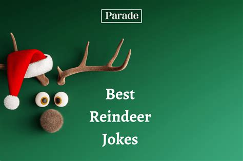 Yippee! You'll Be Shouting Out With Glee From These 50 Reindeer Jokes and Puns