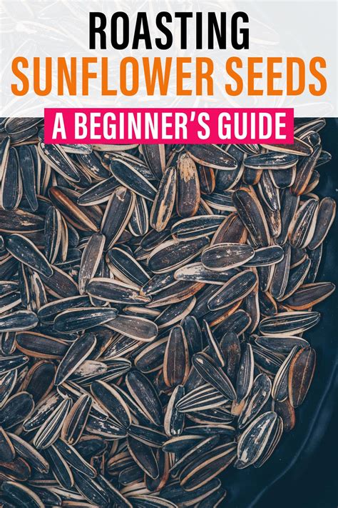 Roasting Sunflower Seeds: A Beginner’s Guide | Roasting sunflower seeds