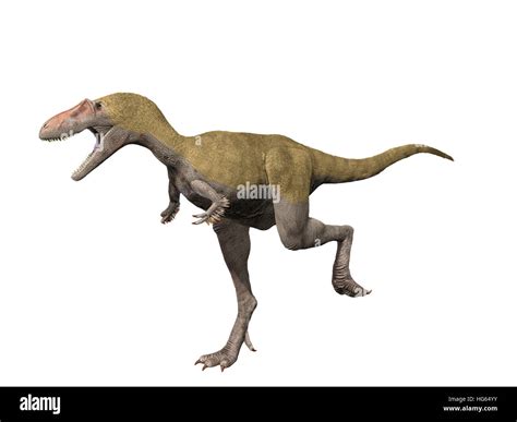 Es Un Albertosaurus Dinosaurios Terópodos Desde Finales Del Período Cretácico Fotografía De