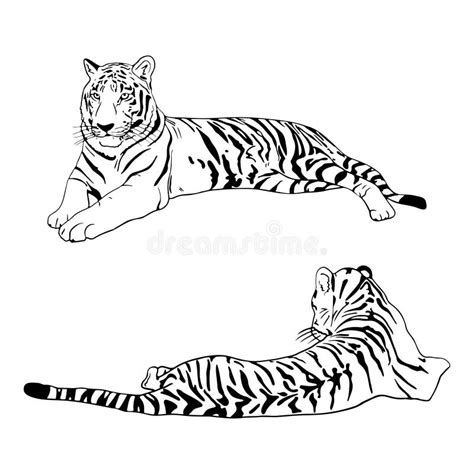 Two Tigers Black Silhouettes On White Background Chinese Tiger Simple