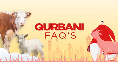 Qurbani Udhiya FAQs Everything You Need To Know