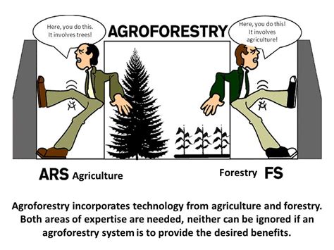 Agroforestry – Civilsdaily | Soil improvement, Sustainable management ...