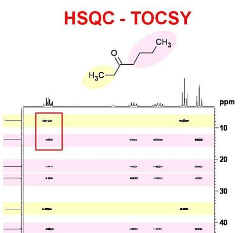 University Of Ottawa Nmr Facility Blog Hsqc Tocsy