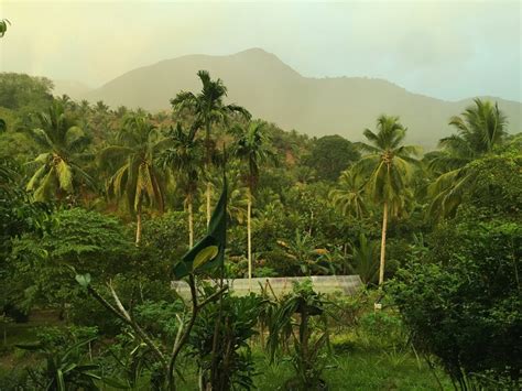 A Remote Forest Farm In Rizal Boasts Of An All Natural And Authentic