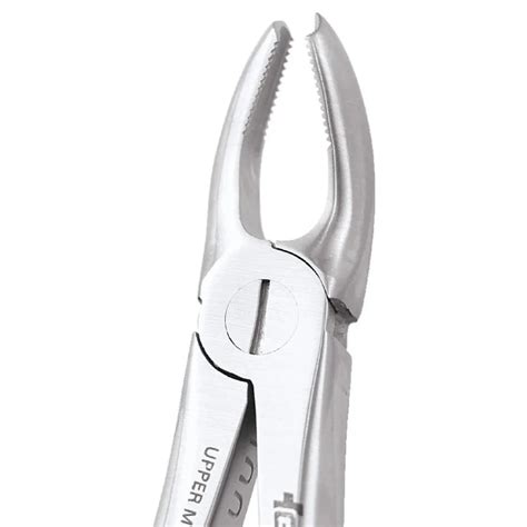 GDC Extraction Forceps Upper Molar Left Premium FX18P Alpha Dentkart