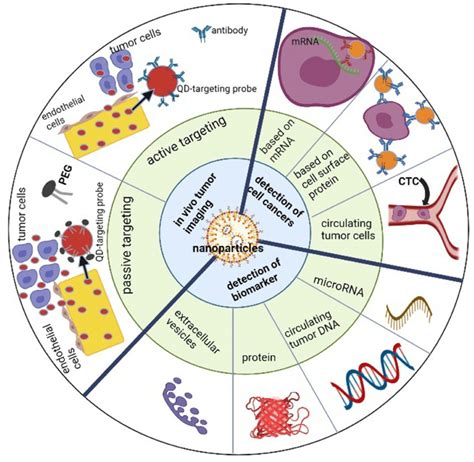 Uses Of Nanotechnology In Oncology And Cancer Research Hot Sex Picture