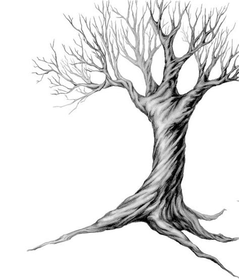 Twisted Tree By Carrieslife On Deviantart