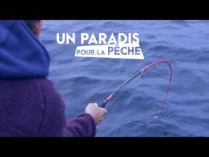 Netfish Fr Les Meilleures Vid Os De P Che