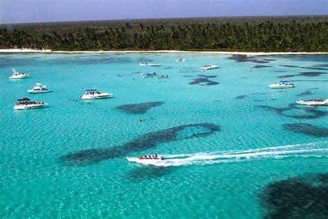 Excursión De Esnórquel Y Manglares De Día Completo A Isla Saona En