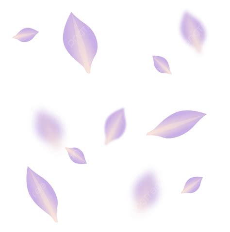 Rose Petal Vector Hd Images Purple Floating Petals Rose Purple