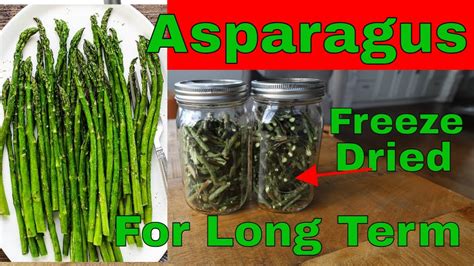 The Secret To Long Lasting Freeze Dried Asparagus Freezedriedaspargus