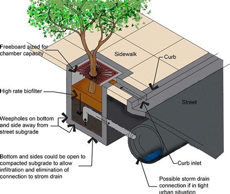 Figure 1 Tree Box Filters Are Often Placed Street Side To Capture And