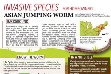 Jumping Worms Invasive Species Centre