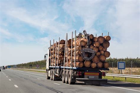 Camiones Que Transportan Troncos De Rboles Para La Industria Maderera