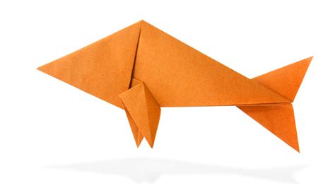 Origami Fisch Falten Anleitung Raubfisch Falten Dauer 10 Minuten