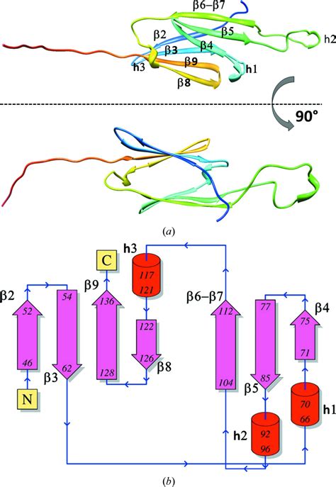 Iucr Crystal Structure Of A Small Heat Shock Protein From Xylella