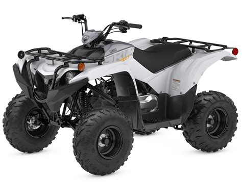 Yamaha Grizzly Blanc Gris Armure En Vente Vall E Jonction