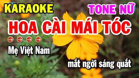 Karaoke Hoa C I M I T C Tone N Nh C S Ng Cha Cha Hay Nh T Kho Nh C