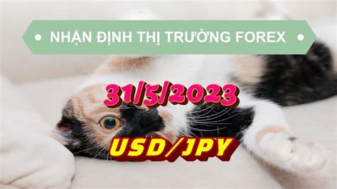 TAKA FOREX FC Nhận định thị trường forex ngày 31 5 2023 cặp tiền USD