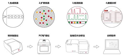 MicroDrop 100微滴式数字PCR 广西百谷生物科技有限公司