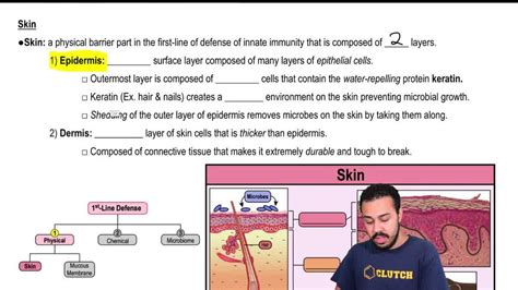 Innate Immunity Physical Barrier