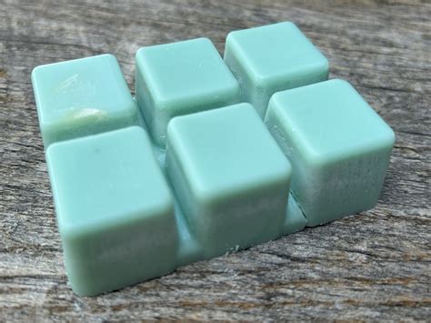 Summer Of 99 Cucumber Melon Scented Soy Wax Melt Toasted Bar