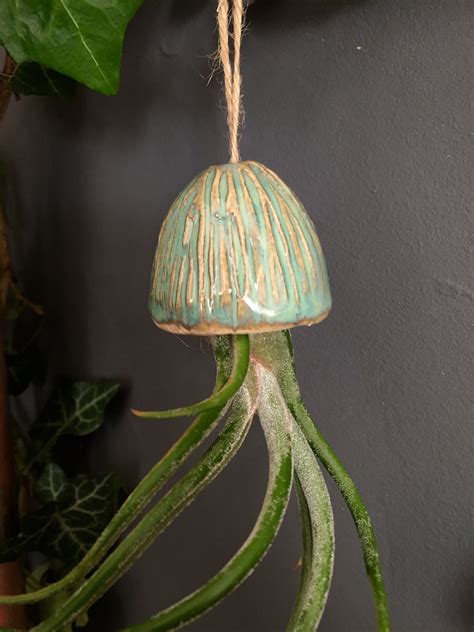 Ceramic Air Plant Holder Jellyfish Hanging Decoration Handmade Etsy