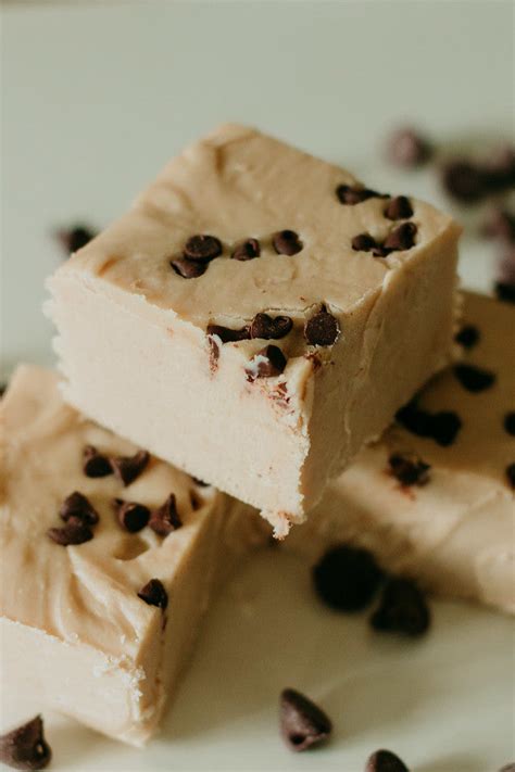 Chocolate Chip Cookie Dough Fudge 7 Oz Wood Pecan Company