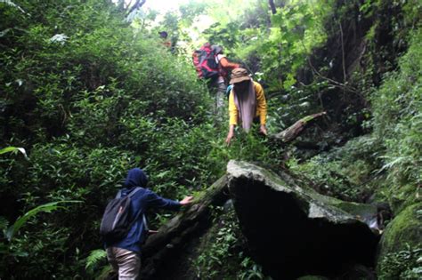 Kerjasama Biology Orchid Study Club Biosc Dan Cabang Dinas Kehutanan